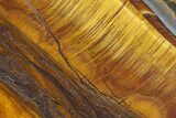 Marra Mamba Tigers Eye - Mt Brockman ( Billion Years) #117192-1